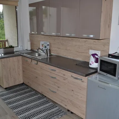 Jarka Apartament Bodice