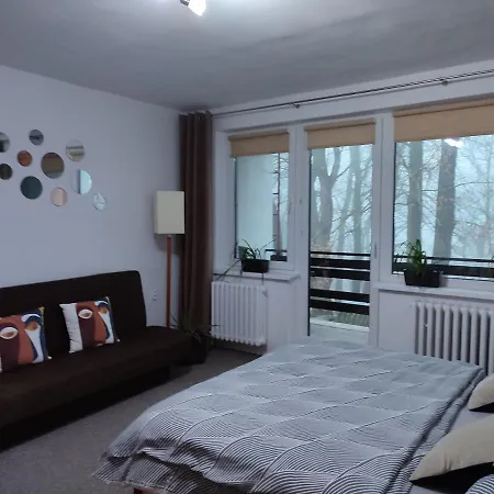 Jarka Apartament Bodice